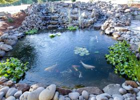 Large, beautiful Koi pond next to covered patios